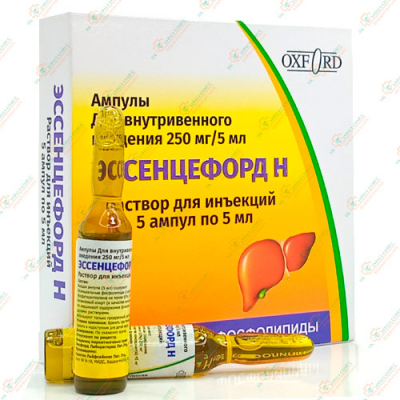 Эссенцефорд Н 250мг/5мл 5мл 5амп