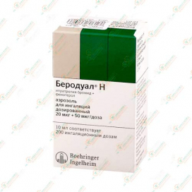 Беродуал р-р д/ингаляций 20мл