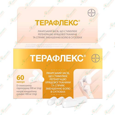 Терафлекс 60капсул